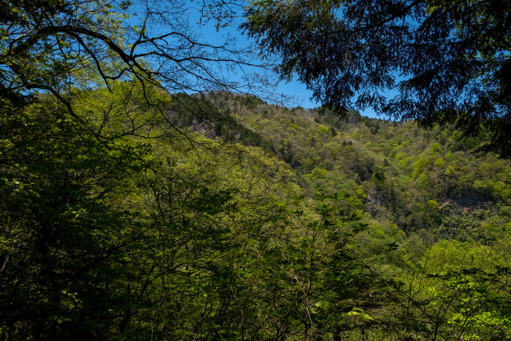 両神山山頂を望む