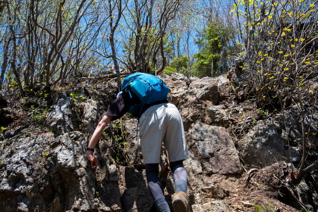 両神山山頂手前