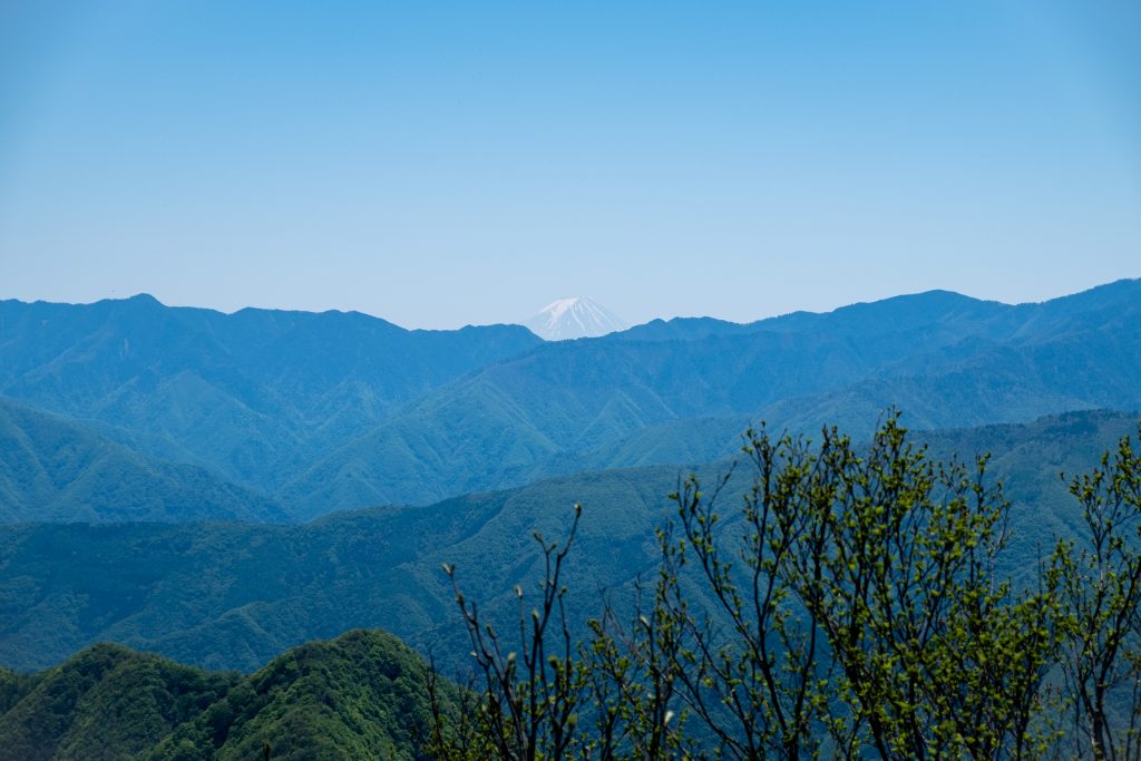 両神山から見る富士山